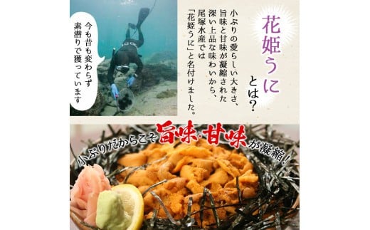 鹿児島県阿久根市のふるさと納税 あわびうに(計120g・60g×2瓶)国産 雲丹 ウニ 魚介 海産物 海鮮丼 瓶詰 アワビ 鮑【尾塚水産】a-12-229-z