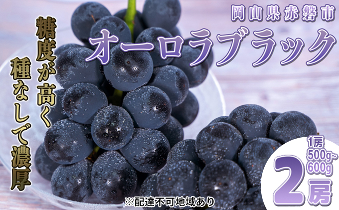 2房　岡山県産オーロラブラック　果物