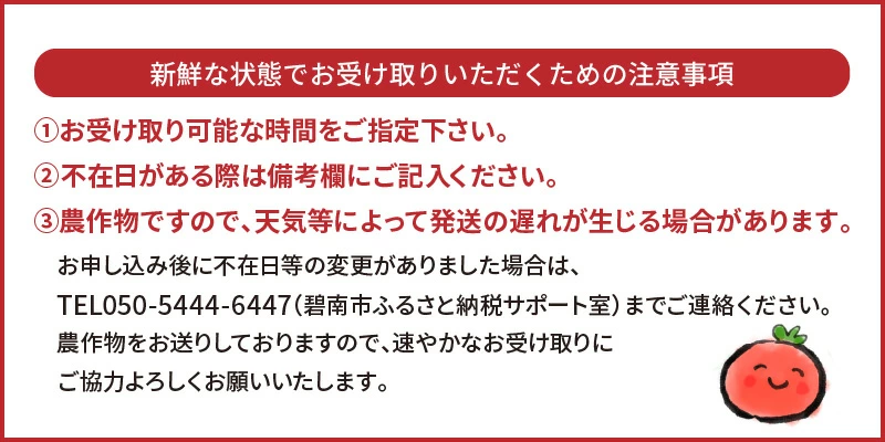 愛知県碧南市のふるさと納税 増量約2kg！甘さ抜群!!トマト嫌いでも食べられるトマトベリー 4月～6月発送 野菜ソムリエサミット 金賞 受賞 長田農園 産地直送 トマト とまと 野菜 やさい フルーツ サラダ 濃厚 甘い ご褒美 プレゼント 美容 健康 リピート多数 人気 高評価 数量限定 碧南市 H004-147