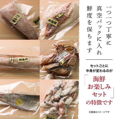 釣り引退セット まぐろ ヒラマサ かんぱち ルアー・フライ