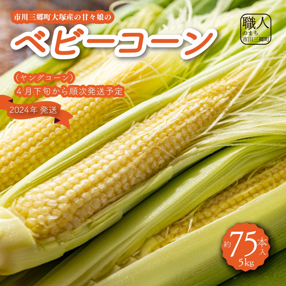 市川三郷町大塚産の甘々娘のベビーコーン 5kg（約75本入り）ヤングコーン　Kai Sweet Farm [5839-1868]|Kai Sweet  Farm