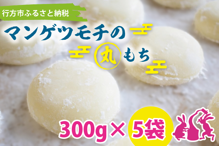 茨城県行方市のふるさと納税 K-6 マンゲツモチの丸もち　300g×5袋