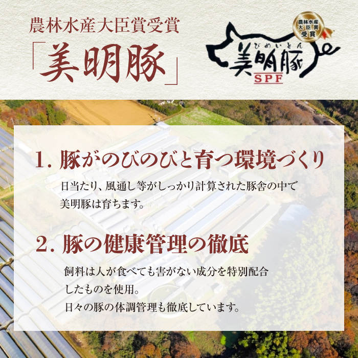 茨城県行方市のふるさと納税 J-9 【美明豚×常陸牛】1kgスライスセットD（美明豚もも700g×常陸牛ロース300g）