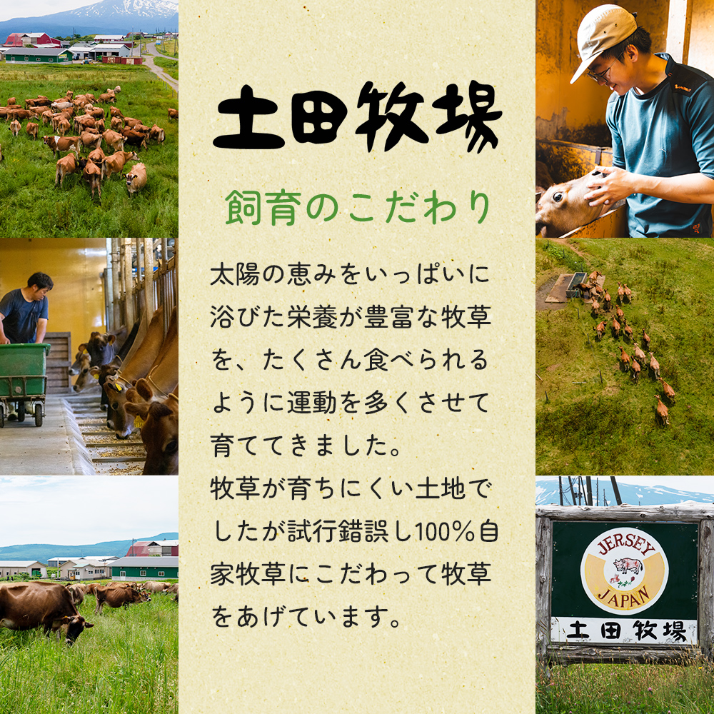 秋田県にかほ市のふるさと納税 土田牧場 幸せのミルク（ジャージー 牛乳）900ml 1本