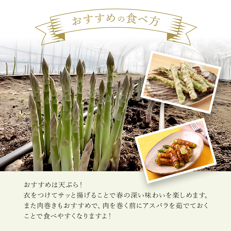 2025年 発送】 先行予約 北海道 上富良野産 アスパラガス 3L