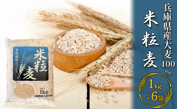 兵庫県産大麦100％　米粒麦　1kg×6袋　クチコミで探すならふるさと納税ニッポン！