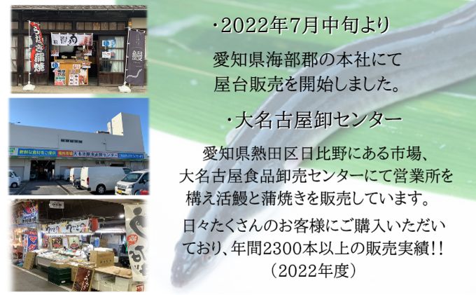 うなぎ白焼き 3尾入 国産 三河一色産（愛知県蟹江町） | ふるさと納税