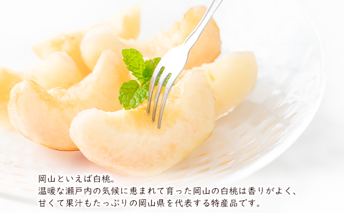 2025年先行予約】 桃 岡山県産 白麗 ( 白桃 ) 約1.5kg (5~6 2025年先行予約】 桃 岡山県産 白麗 ( 白桃 ) 約1.5kg (5~6