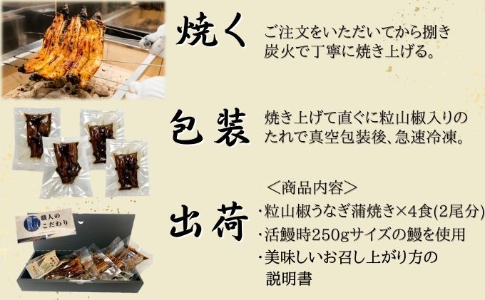 愛知県蟹江町のふるさと納税 粒山椒 うなぎ 蒲焼き 4食 2尾分 かね梅 鰻 ウナギ 蒲焼 たれ タレ 丑の日 国産 三河一色産 炭火焼き 手焼き 簡単調理 小分け 真空パック うな重 うな丼 ひつまぶし グルメ 人気 ギフト 贈答 贈り物 送料無料 愛知県 【 蟹江町 】