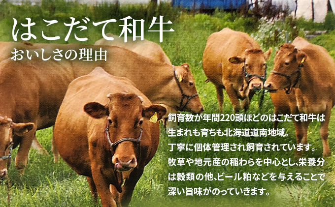 北海道木古内町のふるさと納税 すき焼き はこだて和牛 300g 和牛 あか牛 牛肉 北海道