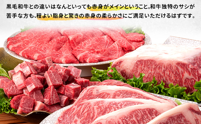 北海道木古内町のふるさと納税 牛肉 定期便 3ヶ月 はこだて和牛 ブロック肉 3.6kg ( 1.2kg × 3回 ) 和牛 あか牛 小分け 北海道 煮込み料理用