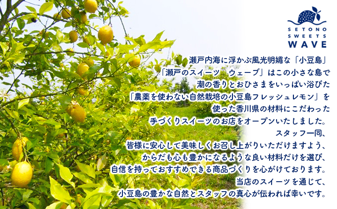 小豆島ドライレモン3袋セット　香川県土庄町　セゾンのふるさと納税