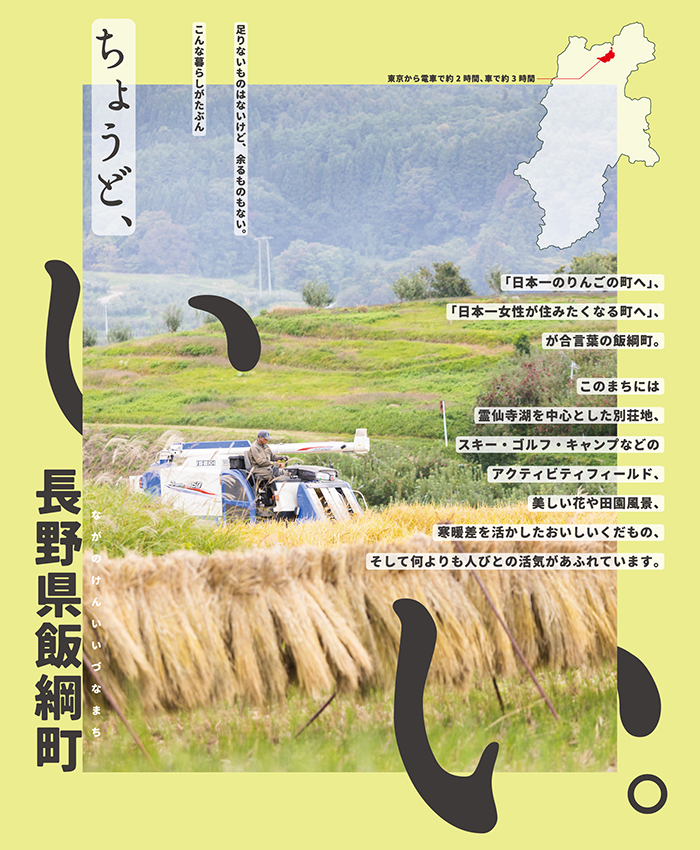 米 大感謝企画 こしひかり 5kg 令和4年収穫分 沖縄県への配送不可