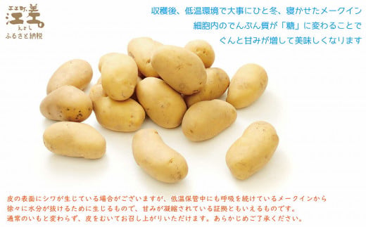北海道産 砂質土育ち 越冬メークイン Sサイズ 5kg 低温熟成 糖度