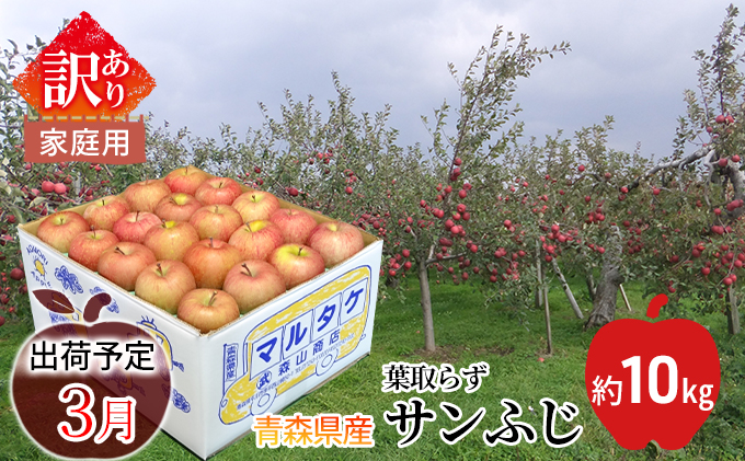 サンふじりんご「特A」約5kg　青森県平川市　ふるさと納税　通販　2月　糖度13度以上(14〜20玉程度）