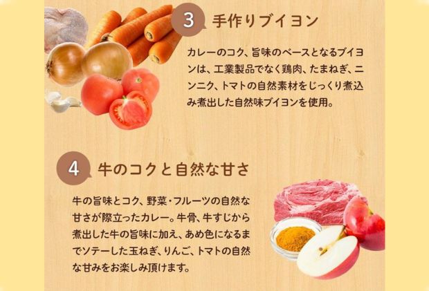 埼玉県嵐山町のふるさと納税 カレー 松屋 マイカリー食堂 欧風カレー の具 10個 冷凍 セット
