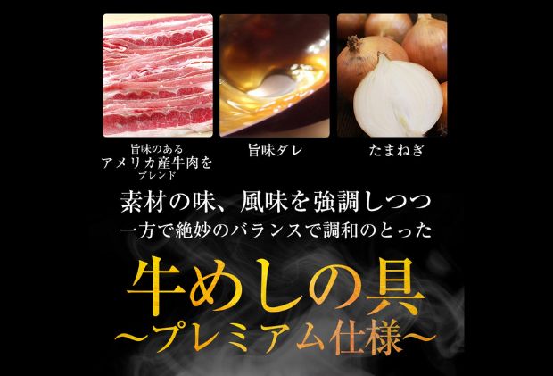 埼玉県嵐山町のふるさと納税 牛丼 松屋 プレミアム仕様 牛めしの具 10個 冷凍 セット