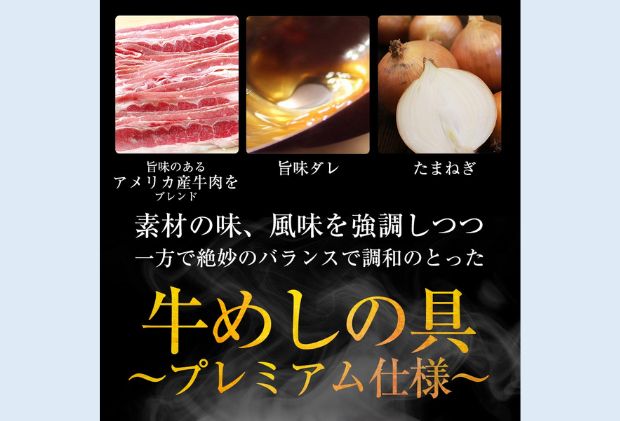 埼玉県嵐山町のふるさと納税 牛丼 松屋 乳酸菌入 プレミアム仕様 牛めしの具 10個 冷凍 セット