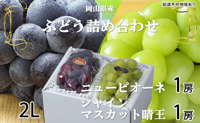 ぶどう 2024年 先行予約 ニュー ピオーネ 1房 約500g シャイン