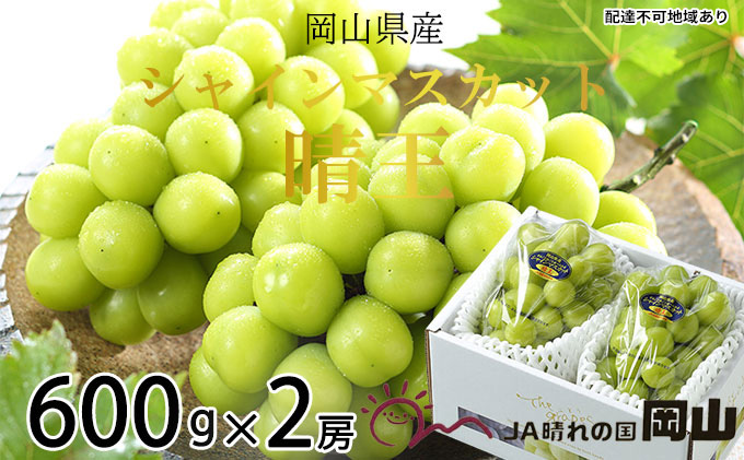 シャインマスカット 晴王 約600g×2房 岡山県産 葡萄 ぶどう 果物 フルーツ 2023年 先行予約