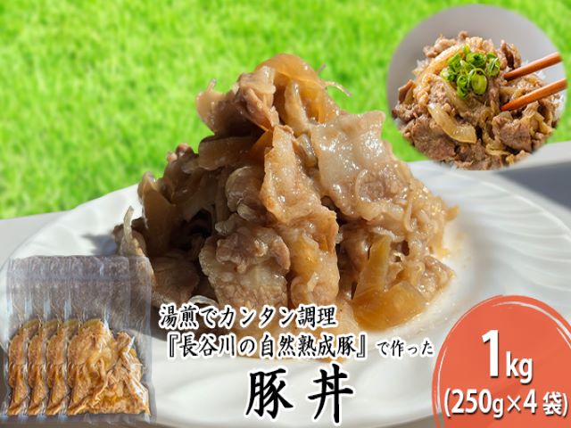 yX˃򒬁zؘ 1kg (250g×4) J̎Rn    y gg ggHi ȒP  Ԃ u^ ؓ   Lv AEghA Lv X X 