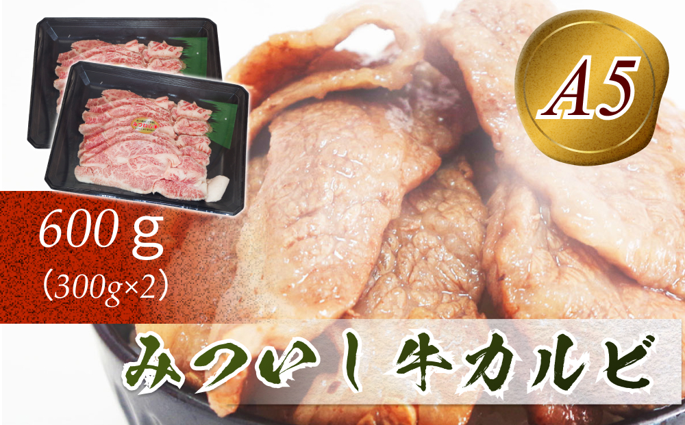 【北海道新ひだか町】北海道産 黒毛和牛 みついし牛 A5 カルビ 計 600g ( 300g × 2 )
