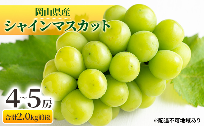 シャインマスカット 4〜5房 合計2.0kg前後 岡山県産 葡萄 ぶどう 果物 フルーツ 2023年 先行予約
