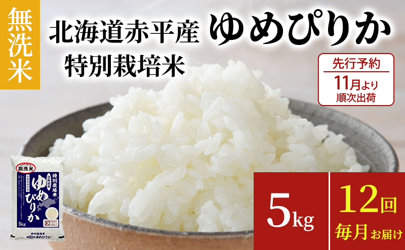 無洗米 北海道赤平産 ゆめぴりか 5kg 特別栽培米 【12回お届け】 米