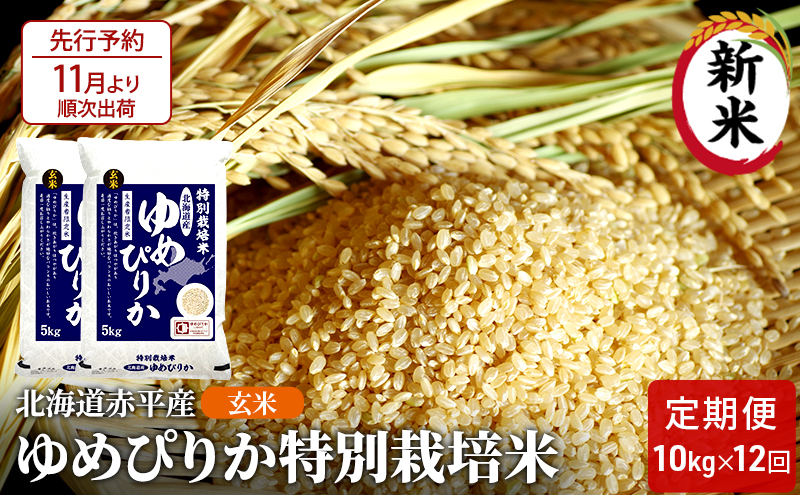 玄米 北海道赤平産 ゆめぴりか 10kg (5kg×2袋) 特別栽培米 【12回お届け】 米 北海道 定期便