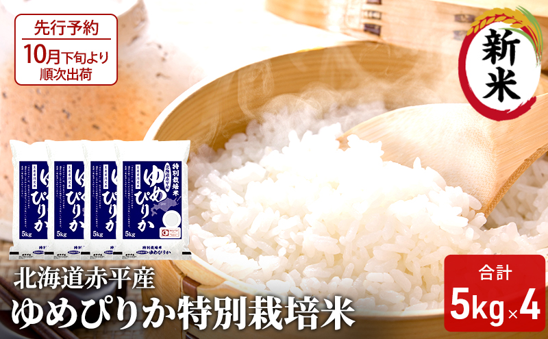 北海道赤平産 ゆめぴりか 20kg (5kg×4袋) 特別栽培米 米 北海道