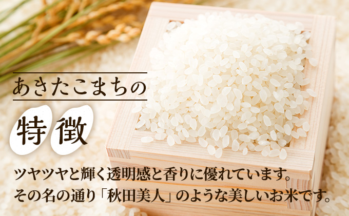 令和4年産 あきたこまち 精米 20kg 5kg×4袋 秋田食糧卸販売 秋田県