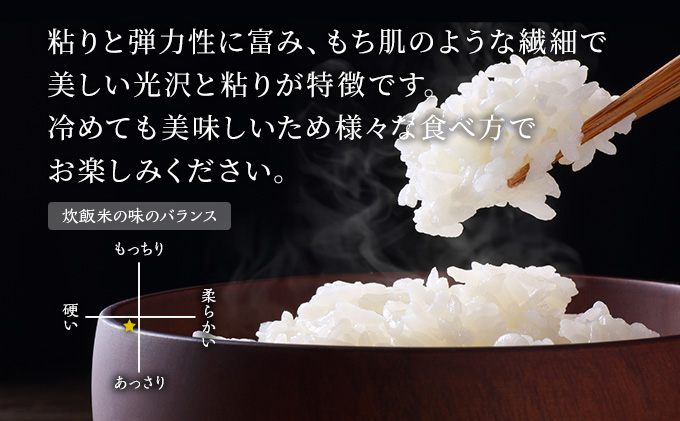 令和4年産 あきたこまち 精米 20kg 5kg×4袋 秋田食糧卸販売 秋田県