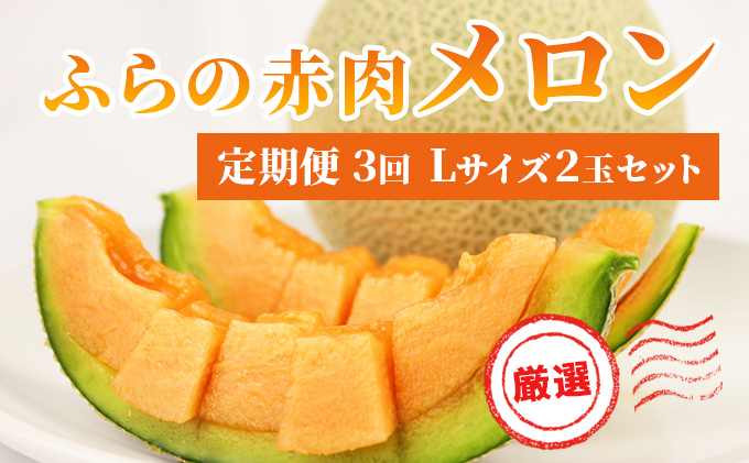 富良野 花七曜 北海道産麦のリース◇ ドライフラワーリース 植物 富良野 花七曜 北海道産麦のリース◇ ドライフラワーリース 植物