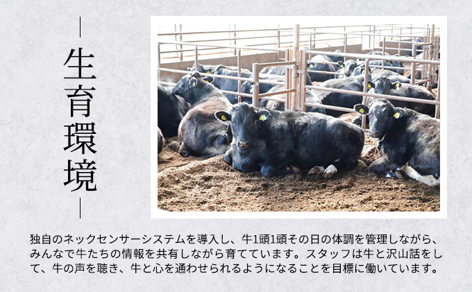 【ふるさと納税で牛肉の切り落としで10000円】北海道産「星空の黒牛」の生産者の声