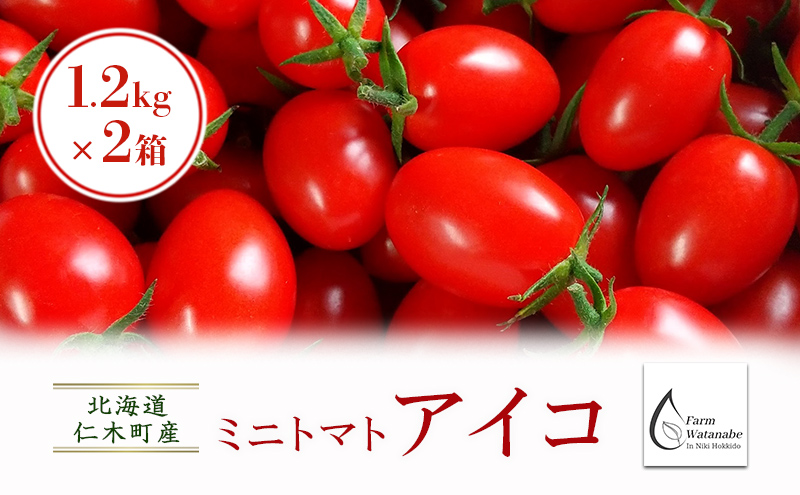 北海道仁木町産ミニトマト【アイコ】1.2kg×2箱［栽培期間中 農薬不使用