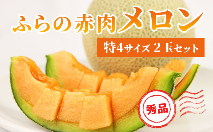 赤肉メロン L 6玉