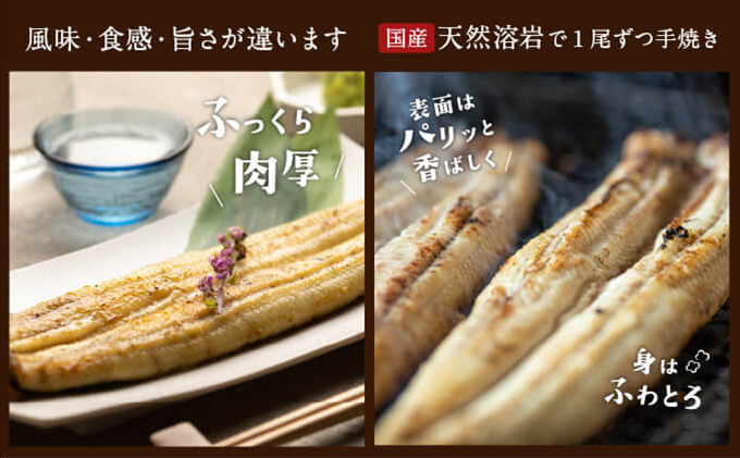 静岡県浜松市のふるさと納税 【浜名湖産】朝じめ うなぎ 溶岩焼き 白焼き 2尾（約140g×2尾） 土用の丑の日 丑の日 熟練 職人 国産 天然溶岩 手焼き 鰻専門店 焼きたて 美味しい 冷蔵便 極上 ふわとろ 食感