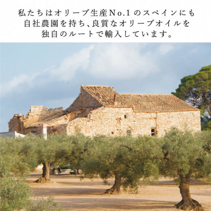 オリーブオイル 有機栽培 エキストラバージン オリーブ オイル シングル 450g 6本 セット オーガニック 調味料 油 オリーブ油 食用油