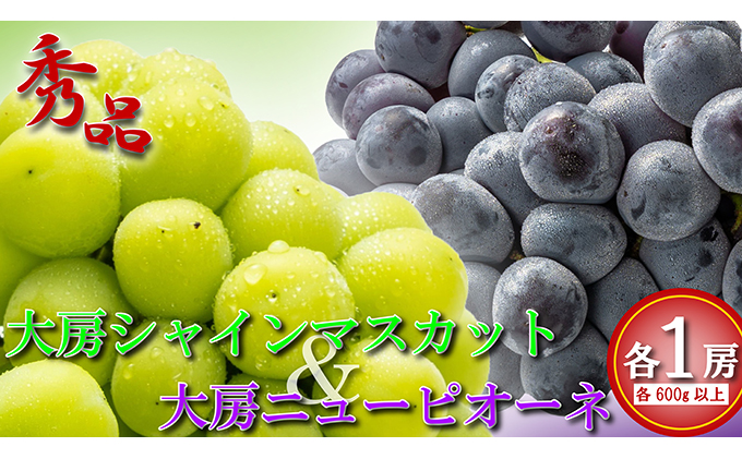 y쌧ۋTsz[VC}XJbg[j[sI[l e1[ e600g ʕ t[c uhE W[V[ŔZ ܁`ʏ`Ղ