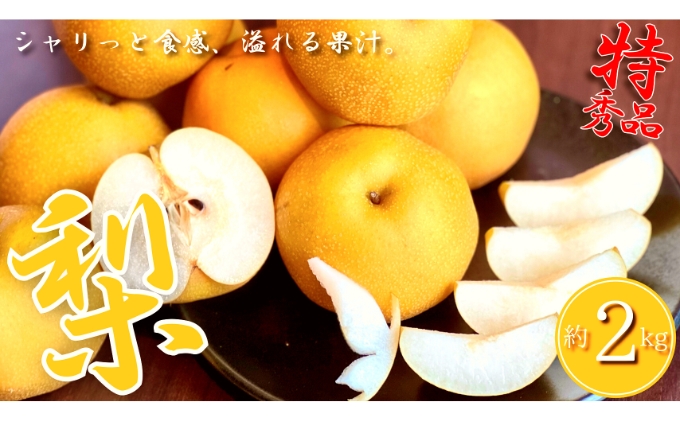 y쌧ۋTszys\z GiIۋT炿́uv2kg iV ʕ t[c ݂݂ ƂÂ VLVLƂG ①