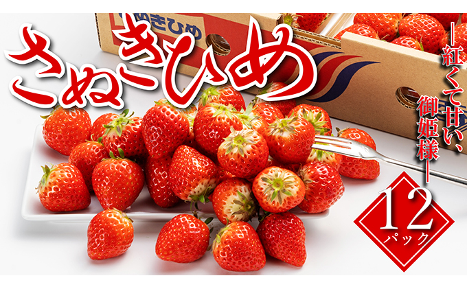 y쌧ۋTsz s\ Gi ʂЂ 250g × 12pbN ۋT̍g t[c ʕ fU[g { Yn {̉ʕ {̃t[c   ① ①z