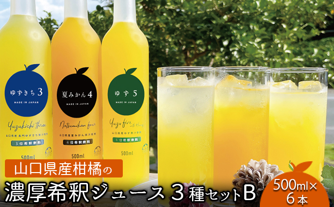 柑橘 ジュース 濃厚希釈 山口県産 3種セットB 500ml×6本 セット ギフト