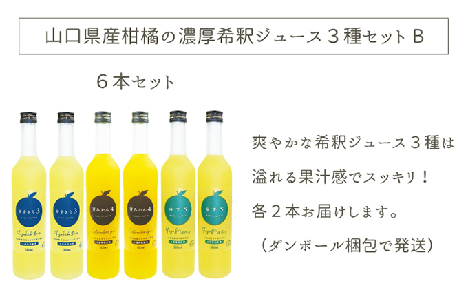 柑橘 ジュース 濃厚希釈 山口県産 3種セットB 500ml×6本 セット ギフト