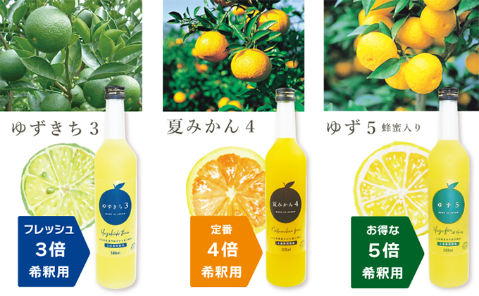 柑橘 ジュース 濃厚希釈 山口県産 3種セットB 500ml×6本 セット ギフト