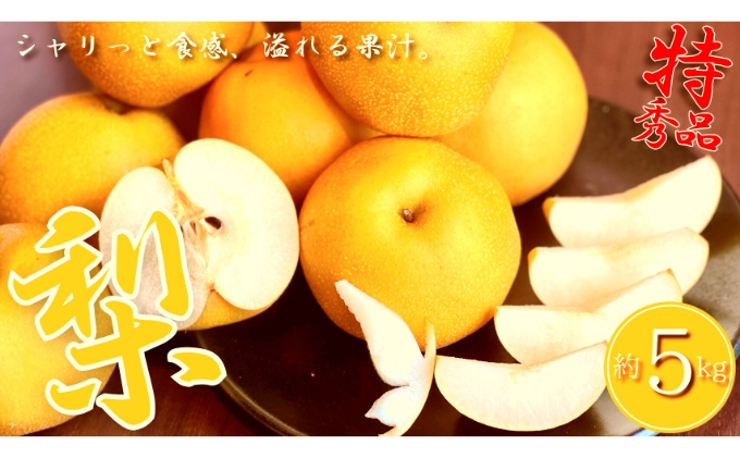 y쌧ۋTszys\z GiIۋT炿́uv5kg iV ʕ t[c ݂݂ ƂÂ VLVLƂG ①