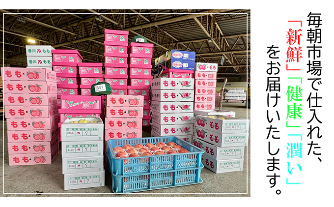 2026年6月下旬より発送】桃 特秀品 約4kg ( 12～16玉 ) 桃 モモ 飯山