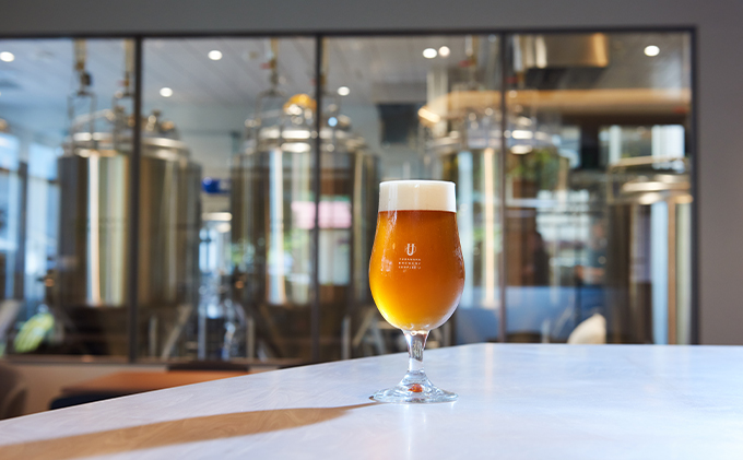 人気クラフトビール詰め合わせ3種類3本セット お酒 長野県 飲み比べ