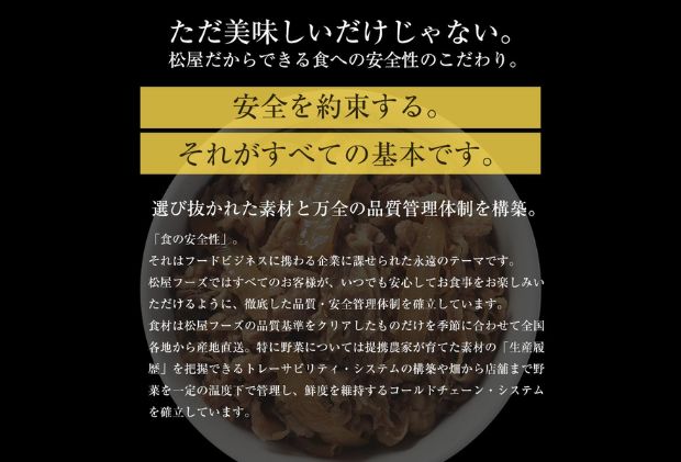 埼玉県嵐山町のふるさと納税 牛丼 松屋 プレミアム仕様 牛めしの具 20個 冷凍 セット