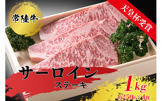 y錧푍szyVct܁z헤T[CXe[Li250gO×4j