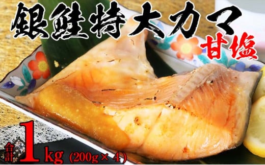 y錧푍szJ}É4PZbg 1kg  L   T[